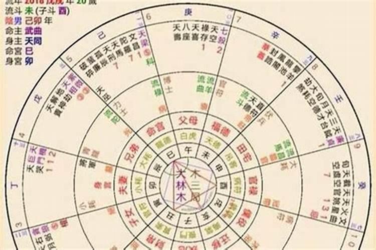 八字算命紫薇，紫薇命理是什么