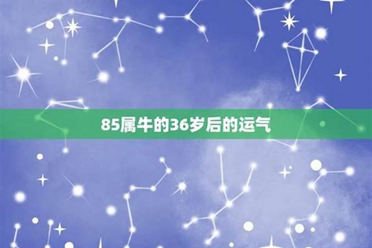 36岁属牛属于什么命？1985年属牛的是什么命运