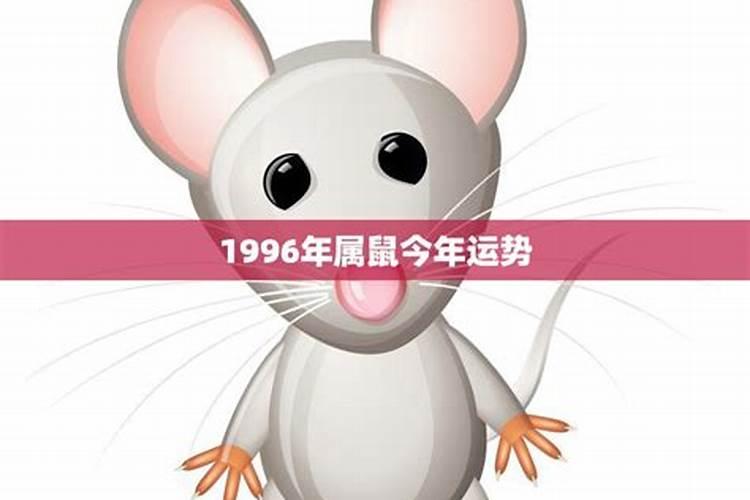 1997年属牛的运势如何？1996年属鼠感情运势