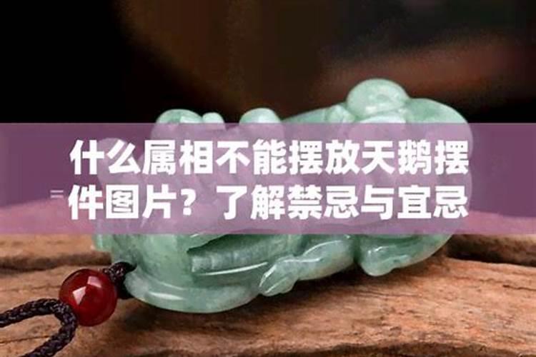 摆件金钱豹什么属相不能摆