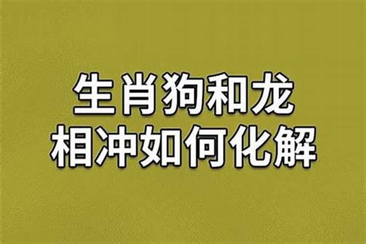 郑恺和苗苗的星座 郑恺和苗苗八字