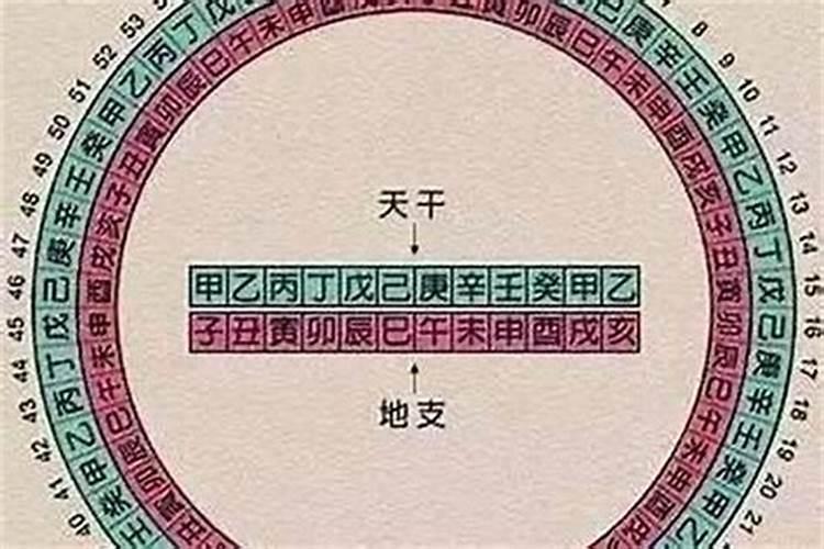 月柱命带金舆(八字里金舆代表什么)