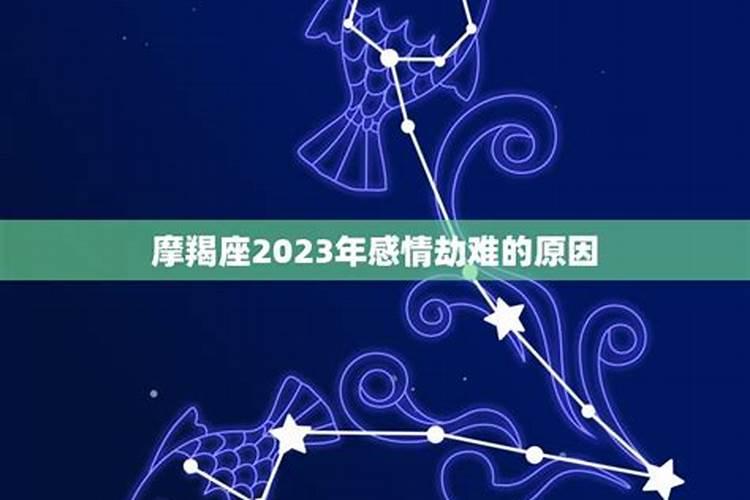 摩羯女跟双子男注定是孽缘（2023年犯桃花的属相）