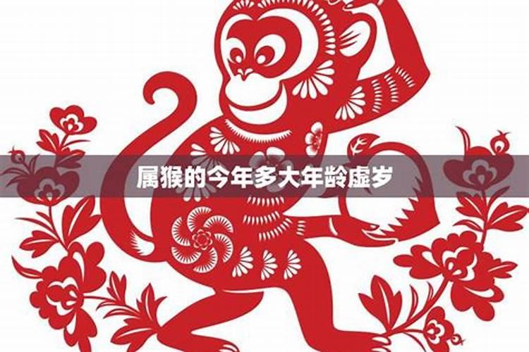 2023年属猴的虚岁（属猴的2023年虚岁多大年龄）