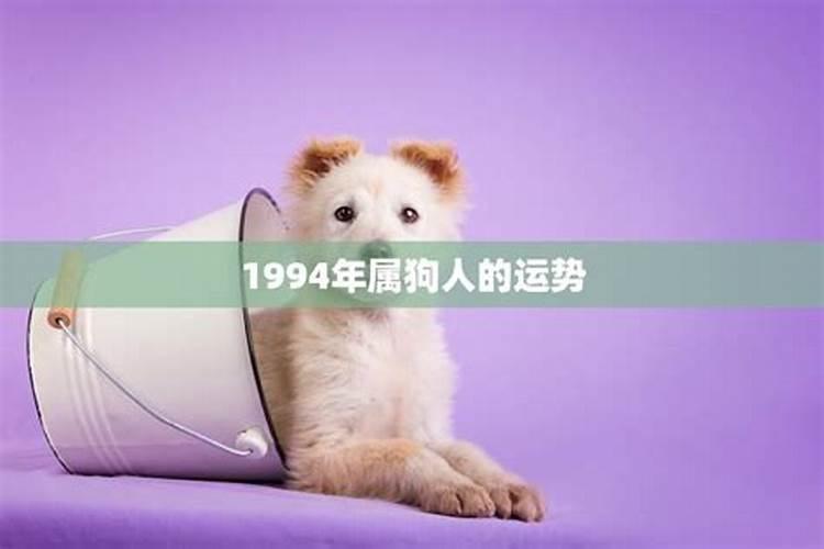 94年属狗的今年运势如何？1994年属狗的命运如何