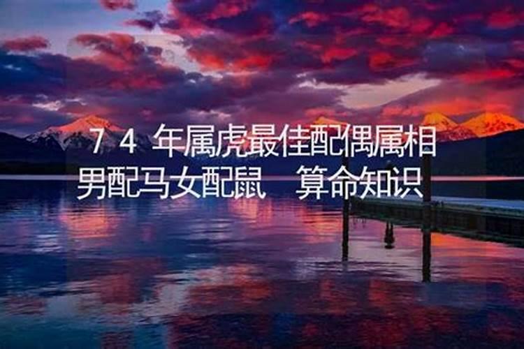 74年属什么的