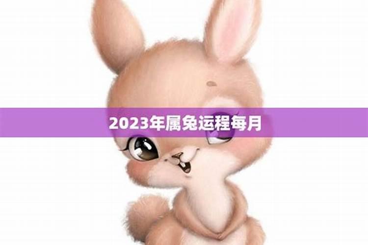 2023年生肖兔运势 属兔今天的财运怎么样