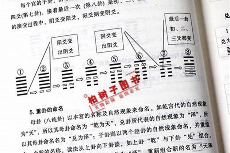 八字命理口诀密传（八字怎么看有气无气）