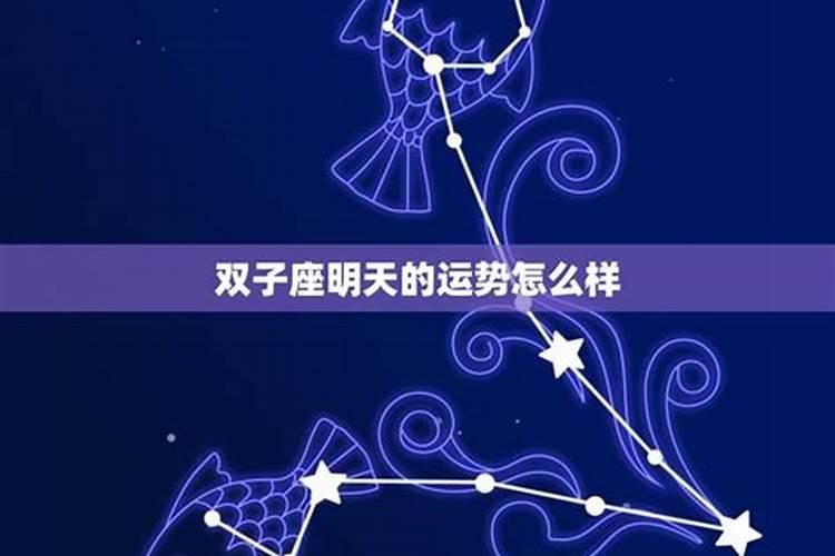 属羊的双子女今日运势 属羊2023运气怎么样呀