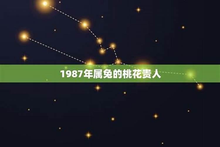 兔年贵人属相 1987年属兔的正缘多大