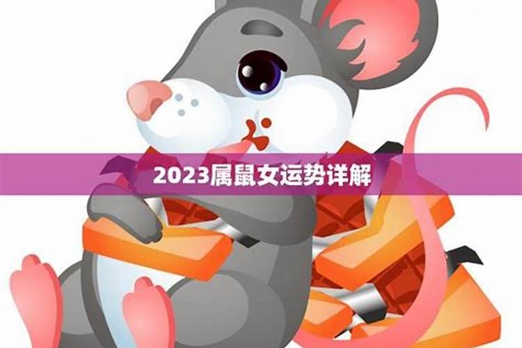 2022生肖鼠女命