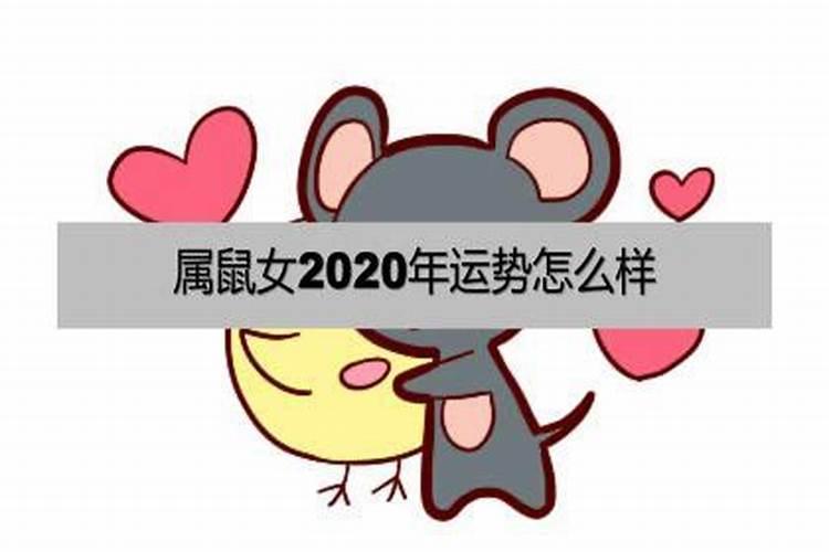 生肖鼠女2022年运势