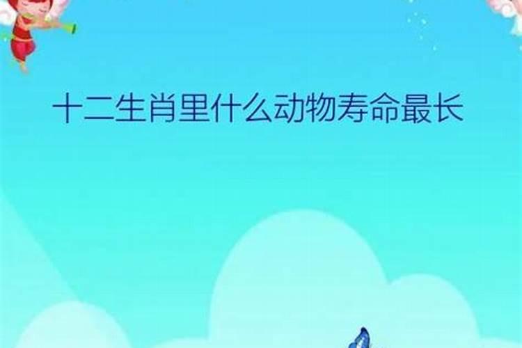 什么生肖的人寿命长？什么属相最长寿