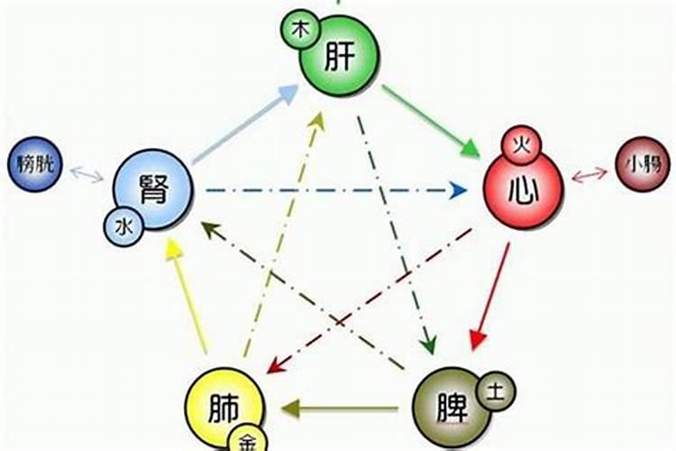 什么生肖的人寿命长？什么属相最长寿