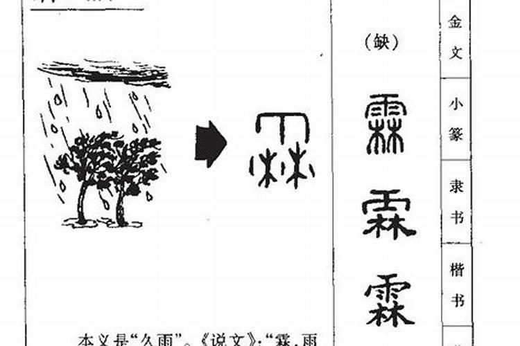 霖字五行属什么