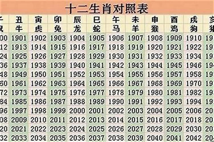 23岁属什么的