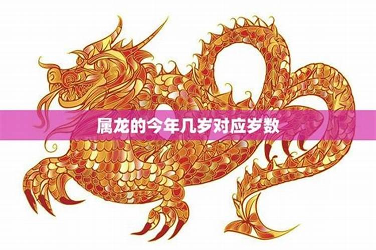 属龙的今年几岁20多岁