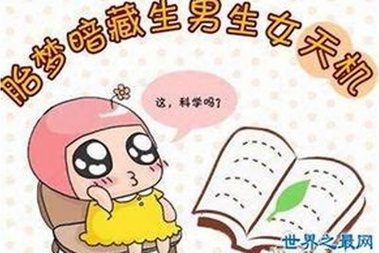 梦见发黄泥巴水很大什么意思啊女生