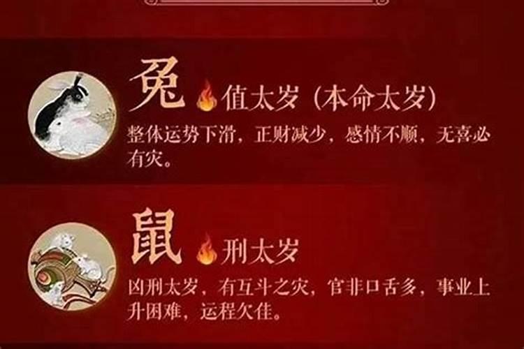 属猪的人今年犯太岁该怎么化解？子丑寅卯相生相克