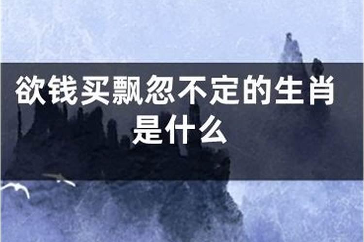 欲钱买无家可归的动物是什么生肖