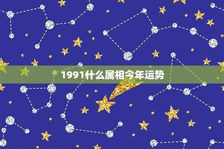 1991年什么星座