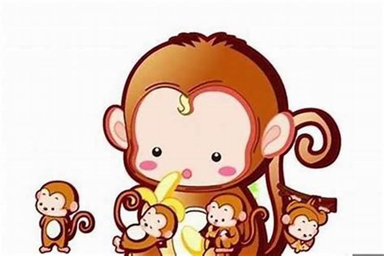 属猴和属猴的婚配怎么样？猴和猴的婚姻财运怎么样呀