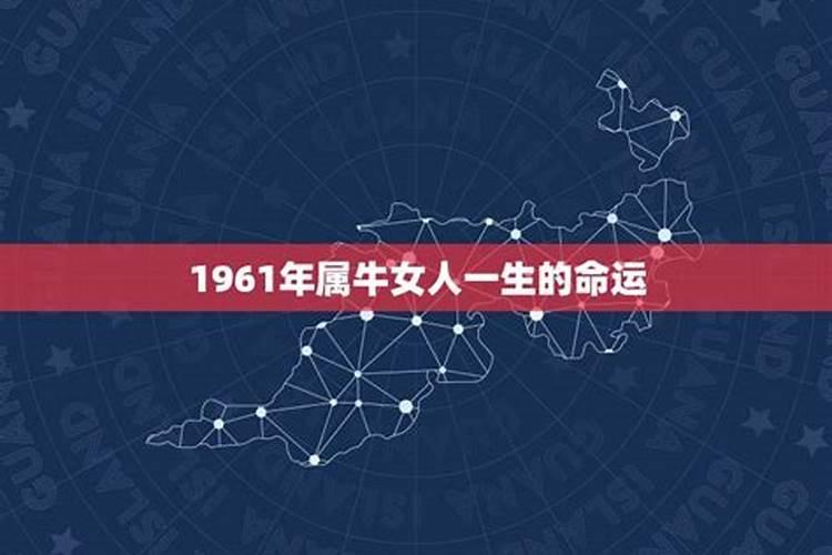 1961年属牛是什么命运