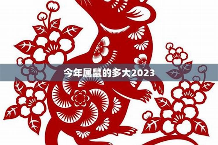 2024年属鼠多少岁