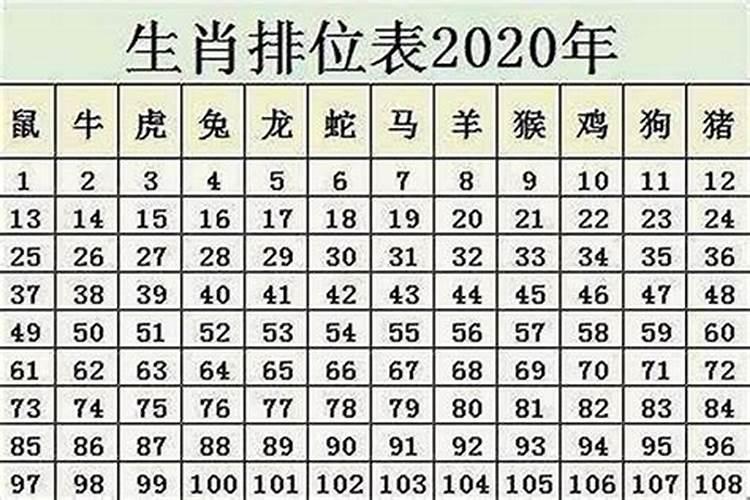 属鼠的今年多少岁了2022