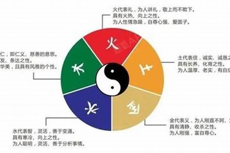 博五行属性是什么