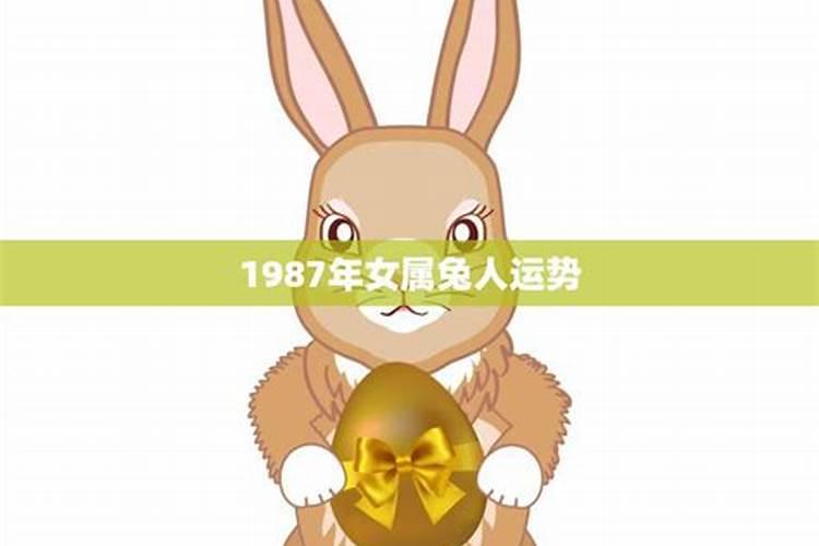 87年农历三月的兔