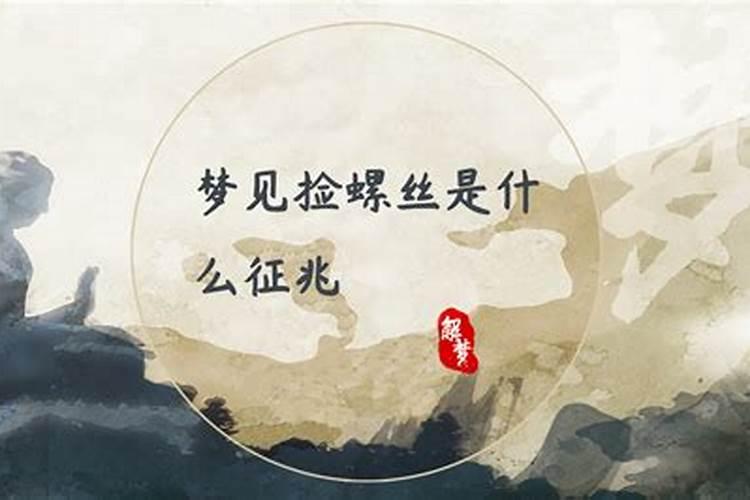 梦到捡很多螺丝是什么意思周公解梦