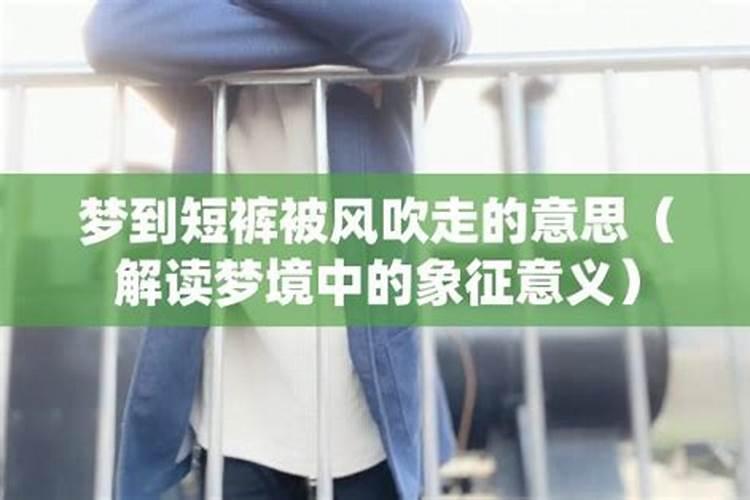 做梦梦到被风吹