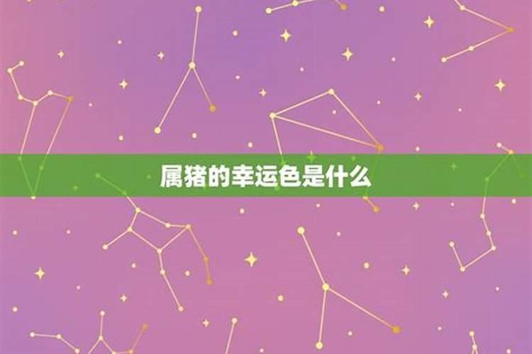 8.26什么星座