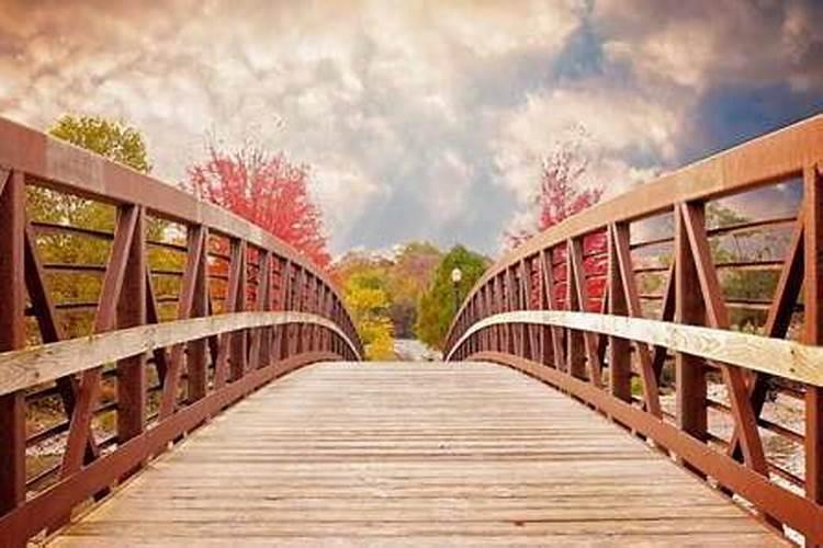 梦到自己过独木桥是什么意思