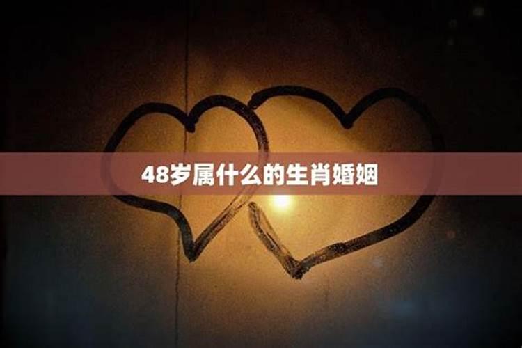 2022年27岁属什么