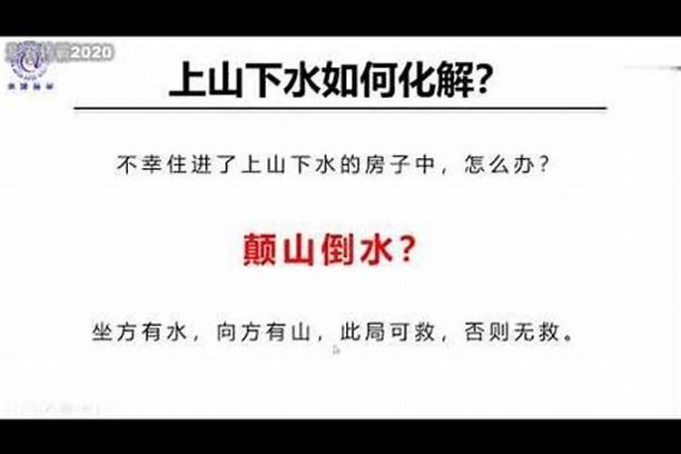 庚辰龙年五行属什么