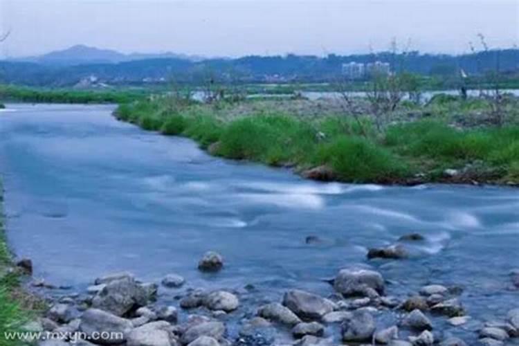 梦见一条大河流动的清水上漂着绿色树叶和粉色花瓣