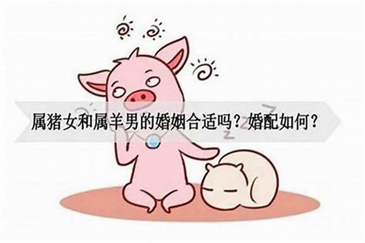 男属猪女属虎相配吗婚姻合吗