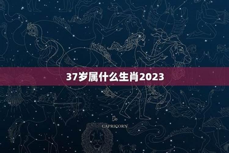 37岁属什么生肖今年多大了