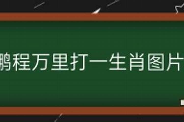 雷霆打一生肖