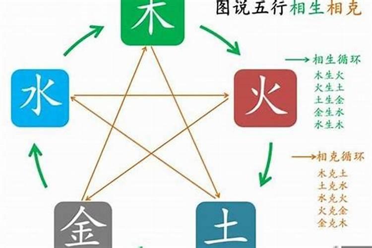 靓字在五行中属什么