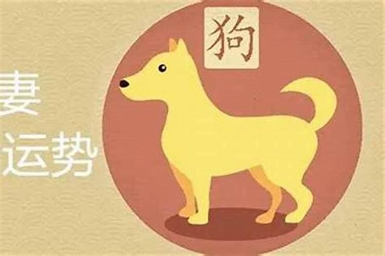 属狗的和属狗的今年结婚好不好