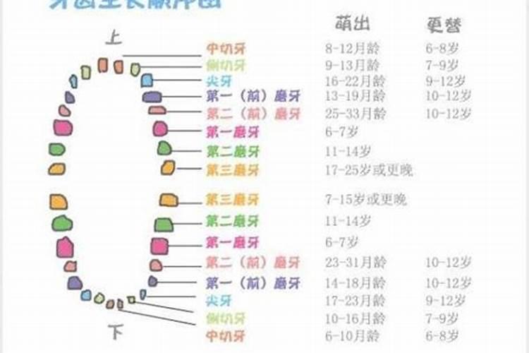 尖牙盗为生是什么生肖码或数字