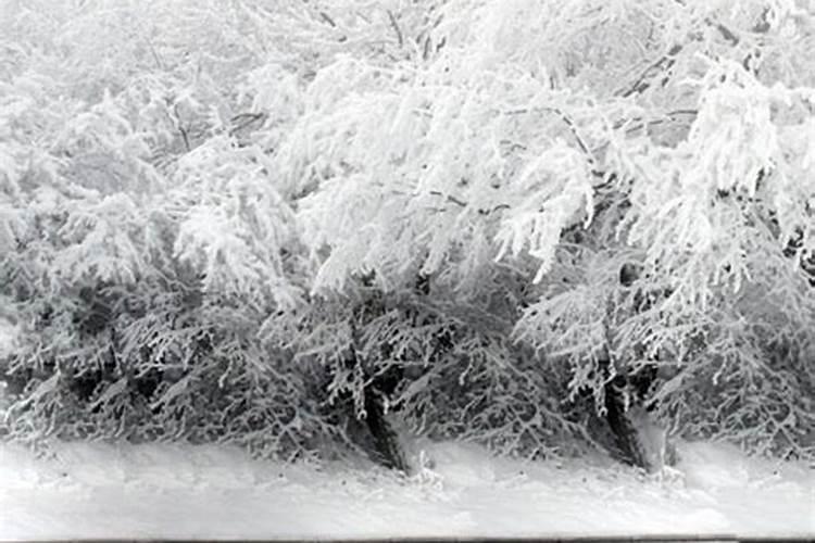 女的做梦梦到下雪是怎么回事