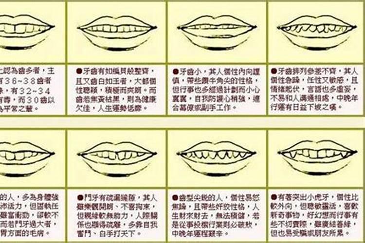 如何从牙齿来看人的性格