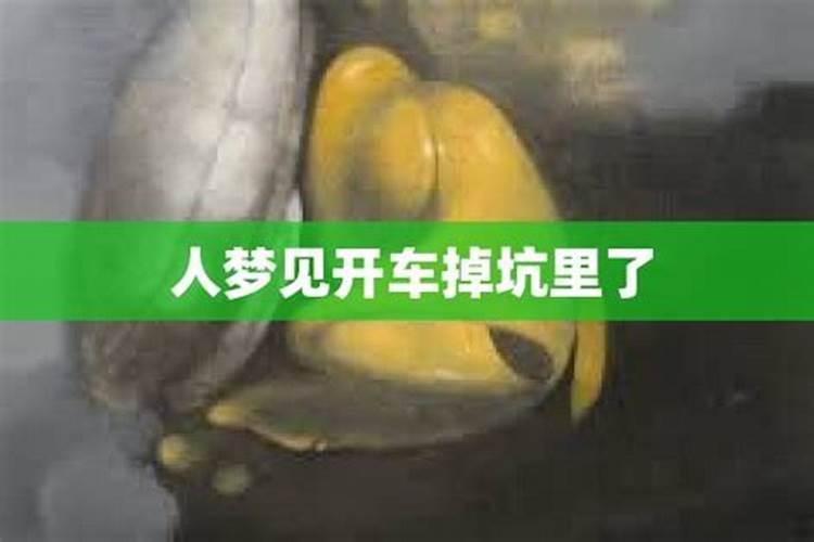 梦见我的车掉进深水坑里