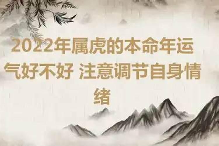 2022年属虎的是本命年本命年有什么好的兆头