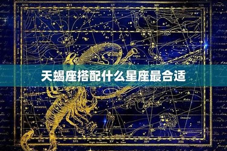 天蝎座女适合哪个星座男