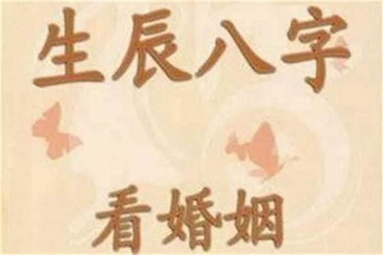 命理八字婚姻宝典解析